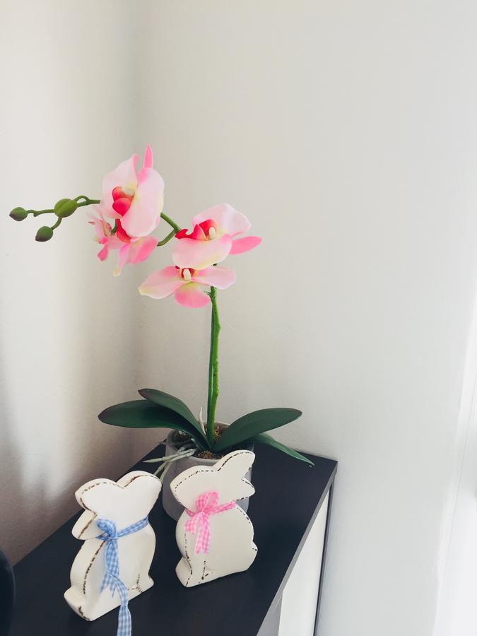 קורצולה Apartments Paula מראה חיצוני תמונה